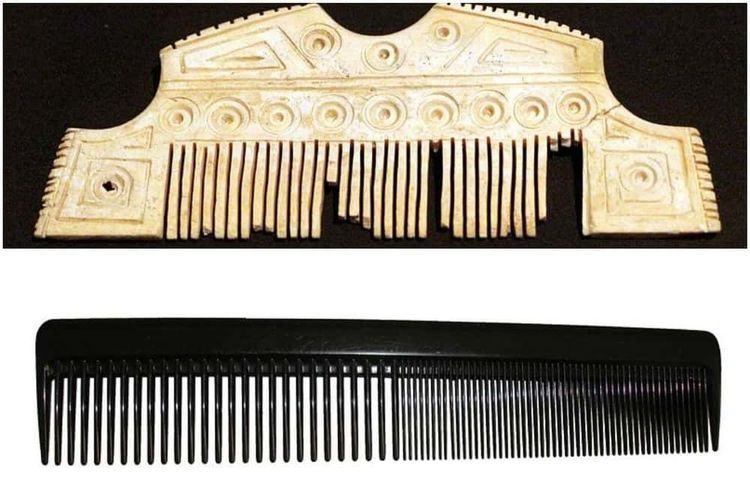 image-20251209142251-2