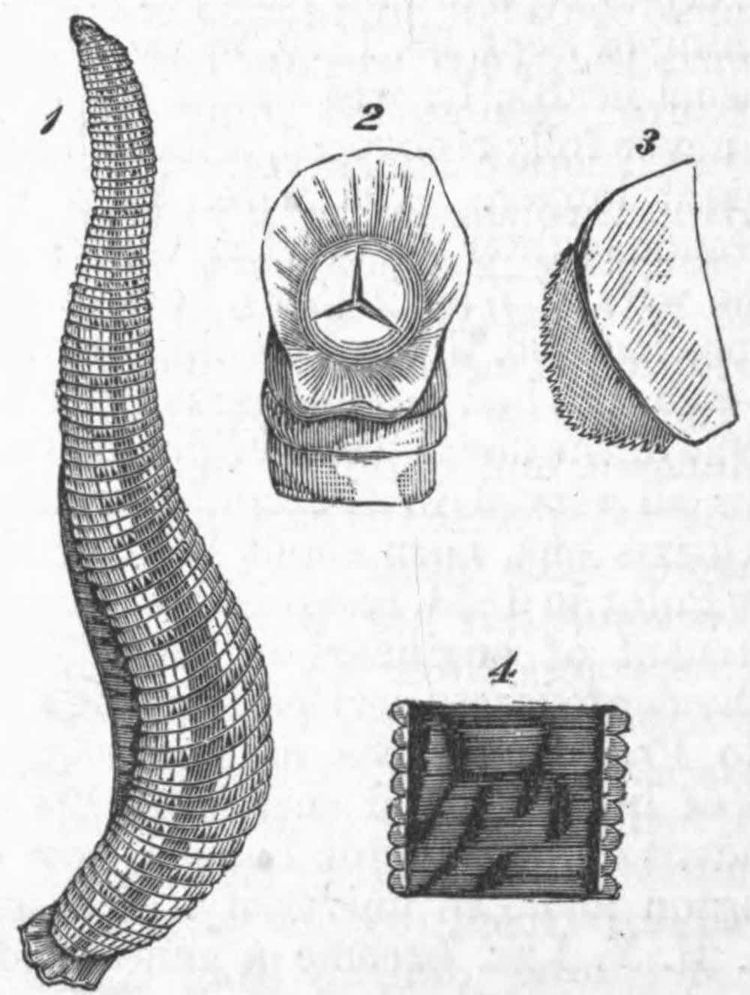 image-20251211111127-1