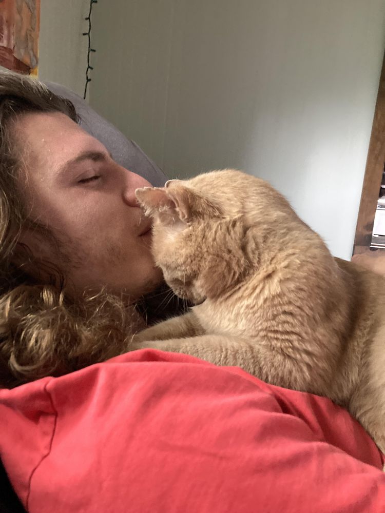 image-20251212130940-14