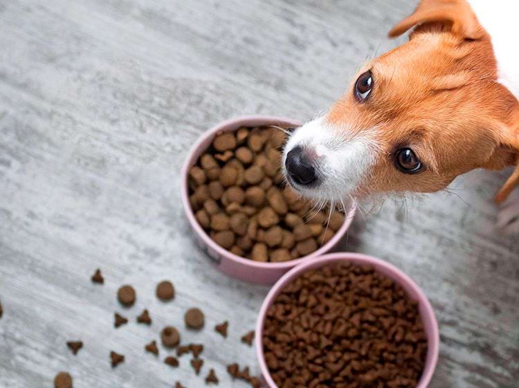 image-20251215005327-1