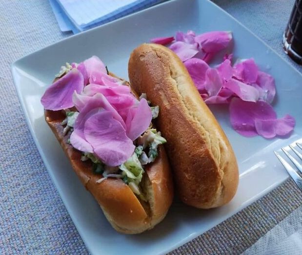 image-20251215164852-4