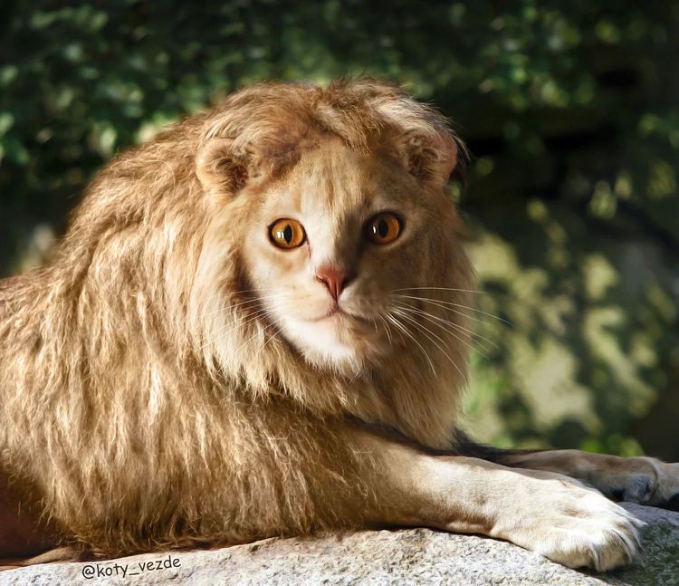 image-20251217115724-8