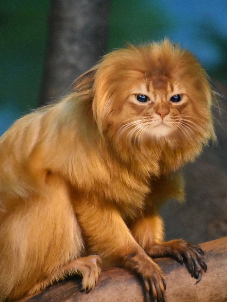 image-20251217115730-10