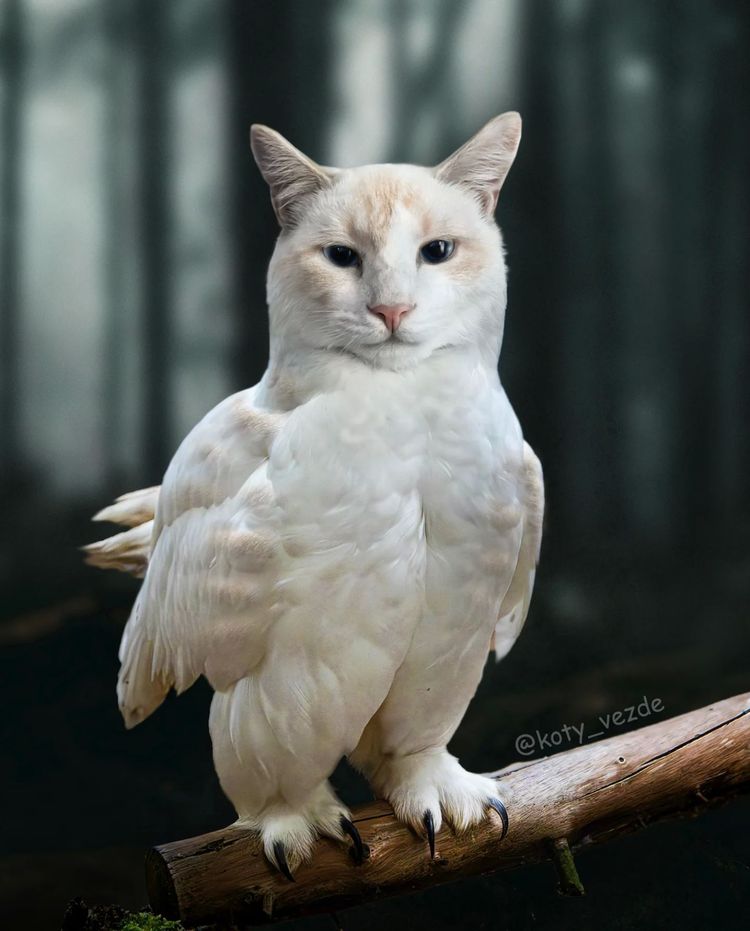 image-20251217115749-17