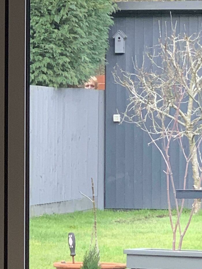 image-20251217131805-4