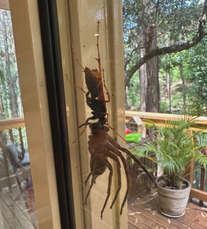 image-20251217131809-5