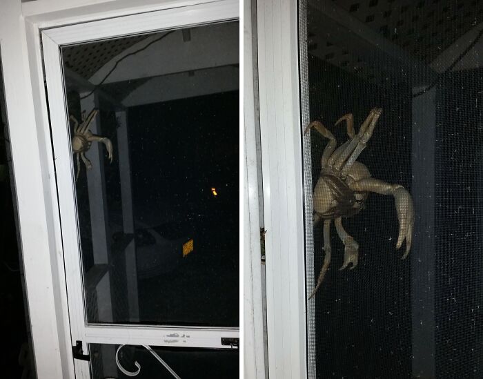 image-20251217131811-6