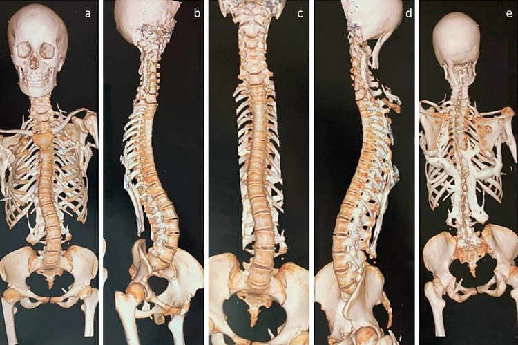 image-20251217164953-1