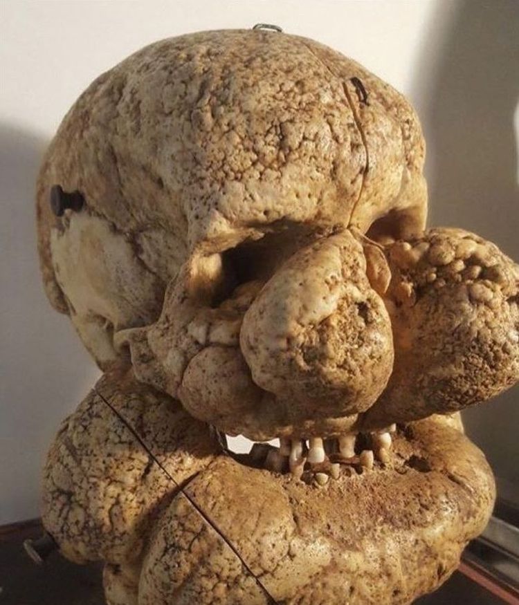 image-20251217165002-4