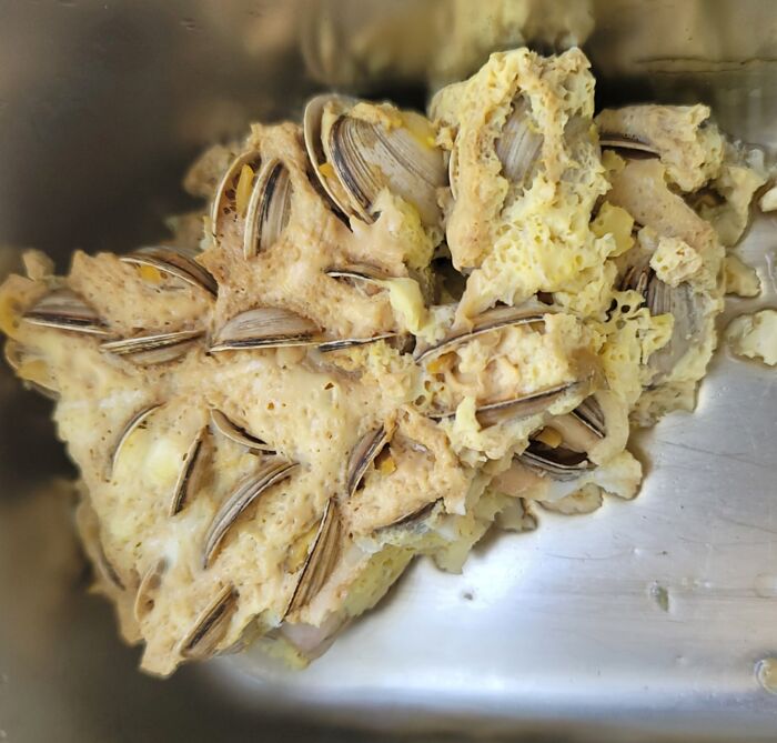 image-20251218155923-11