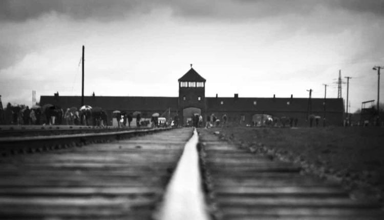 image-20251219211759-3