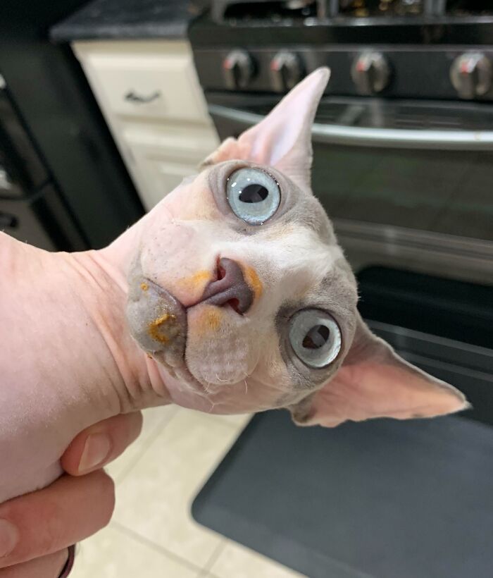 image-20251224165252-4