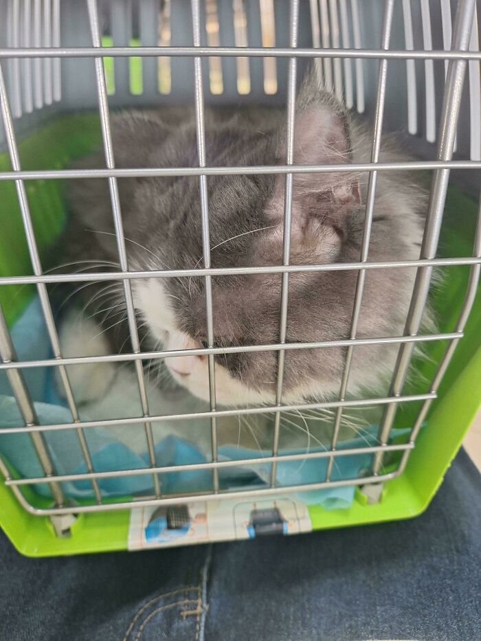 image-20251225161809-7