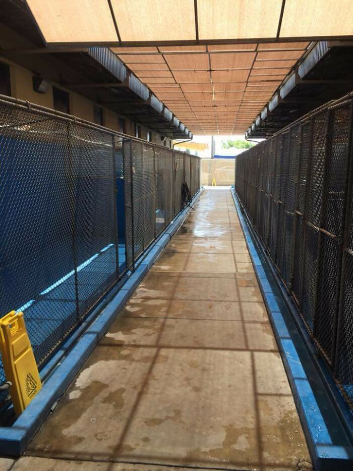 image-20251226133743-8