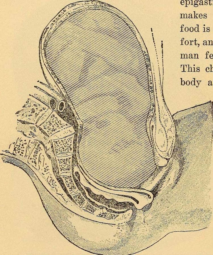 image-20251226141751-2