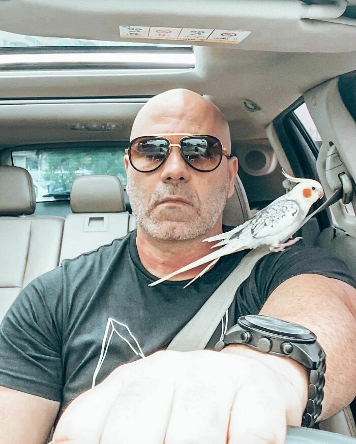 image-20251230220254-14