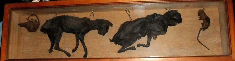 image-20260112215259-1