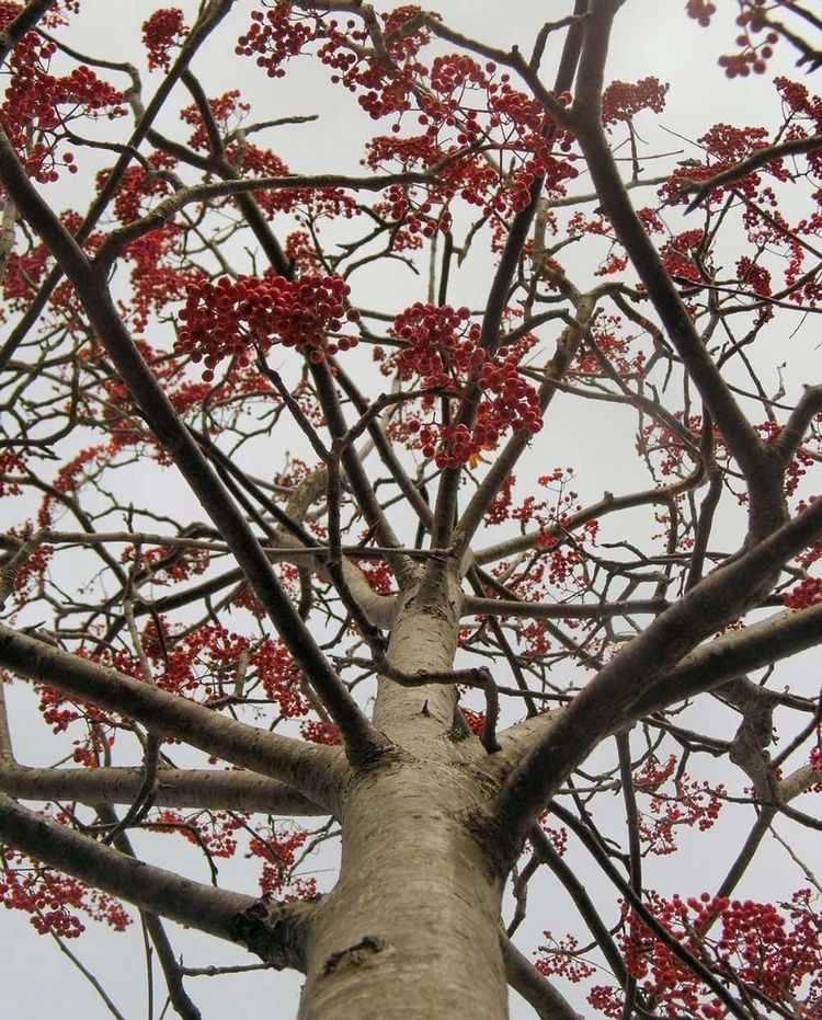 image-20260112215319-8