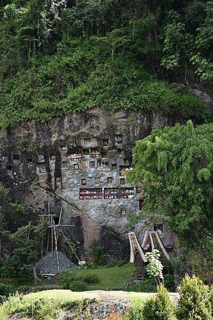 image-20260113160103-7