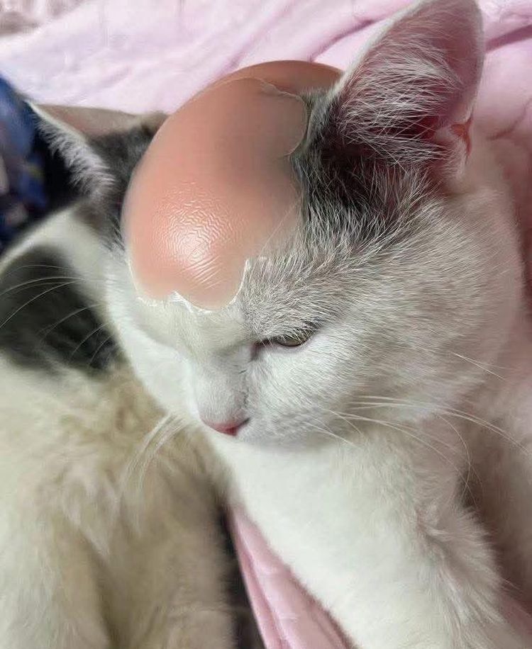 image-20260113213005-16