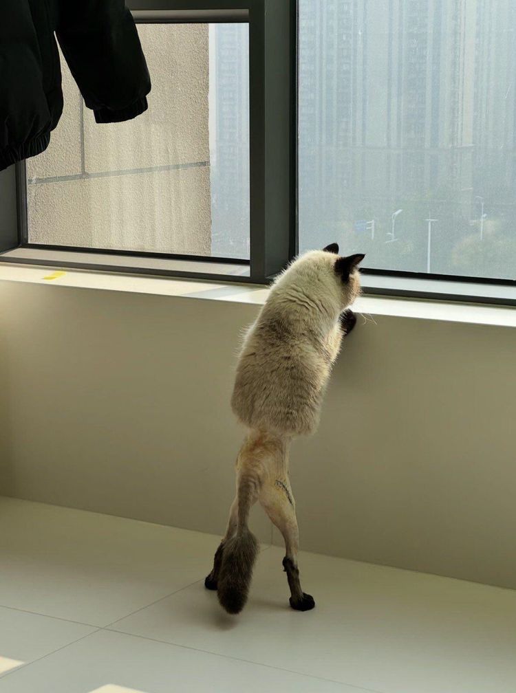 image-20260113213009-18