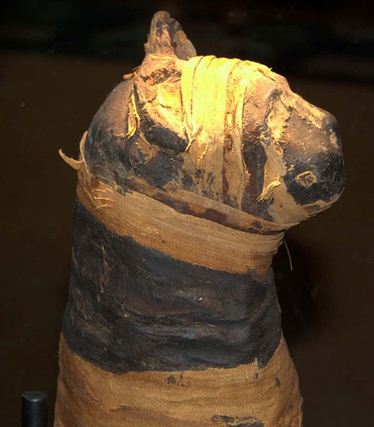 image-20260114110841-1