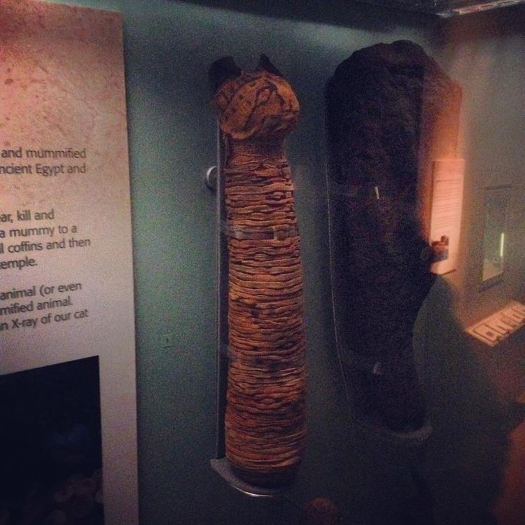 image-20260114110856-6