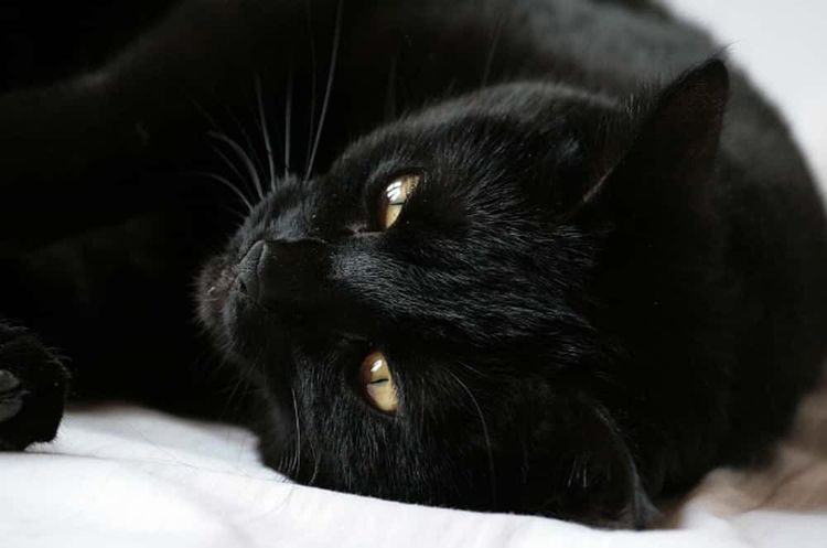 image-20260114110907-9