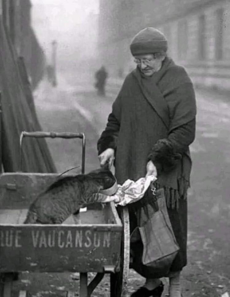 image-20260115120351-1