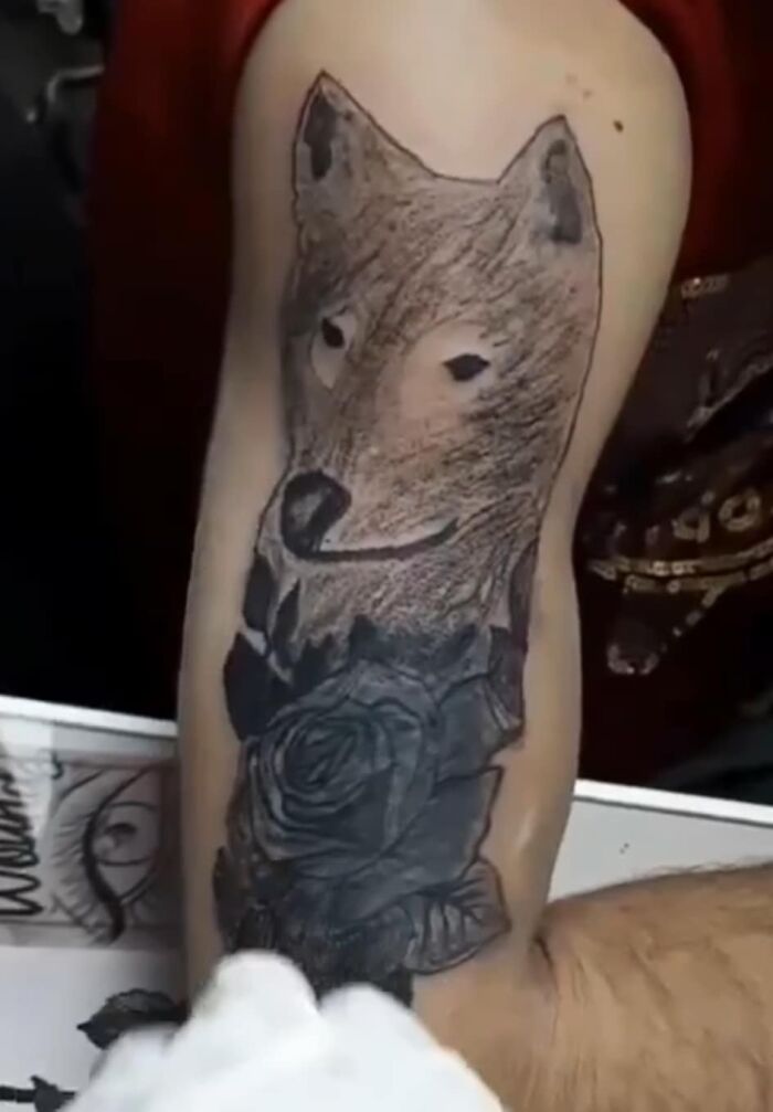 image-20260115123948-8