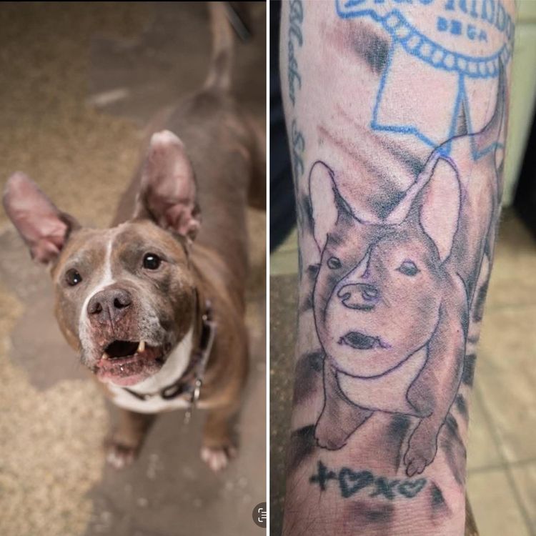 image-20260115124014-17