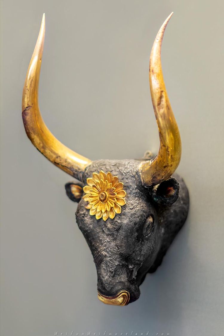 image-20260119105647-18