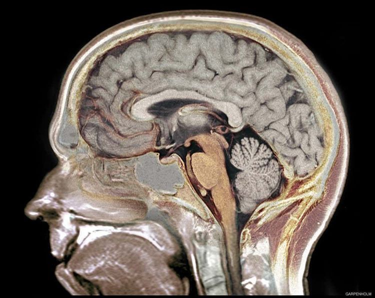 image-20260119113638-3