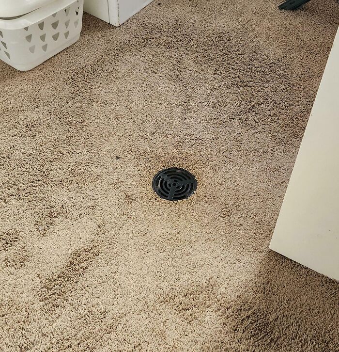 image-20260119120730-13