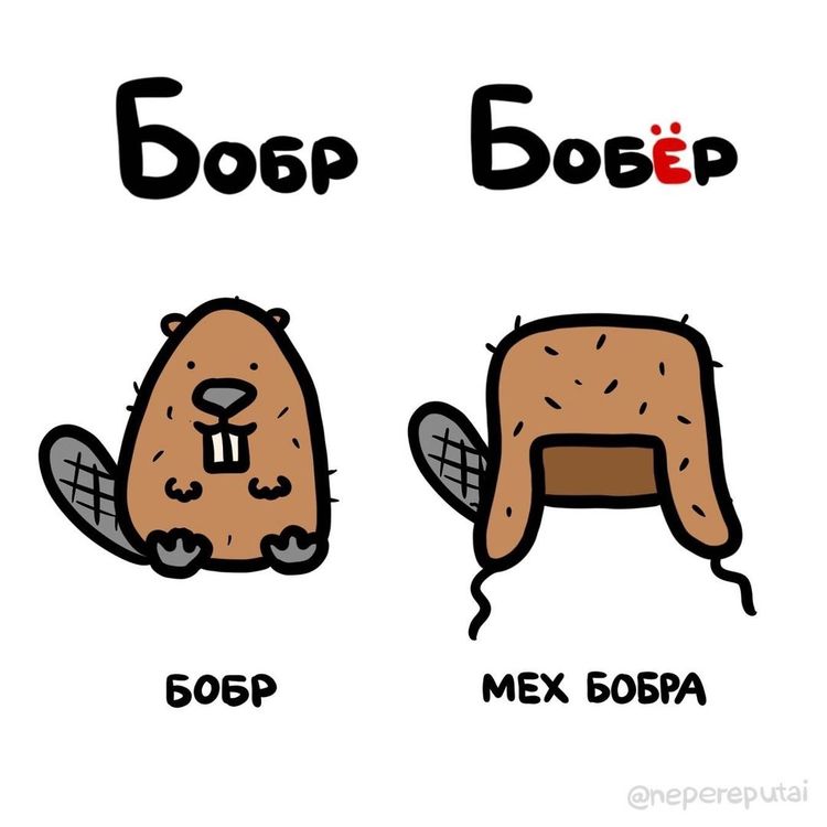 image-20260120194649-6