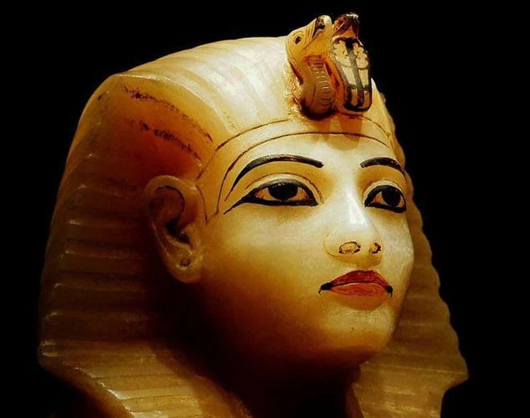 image-20260120201727-5