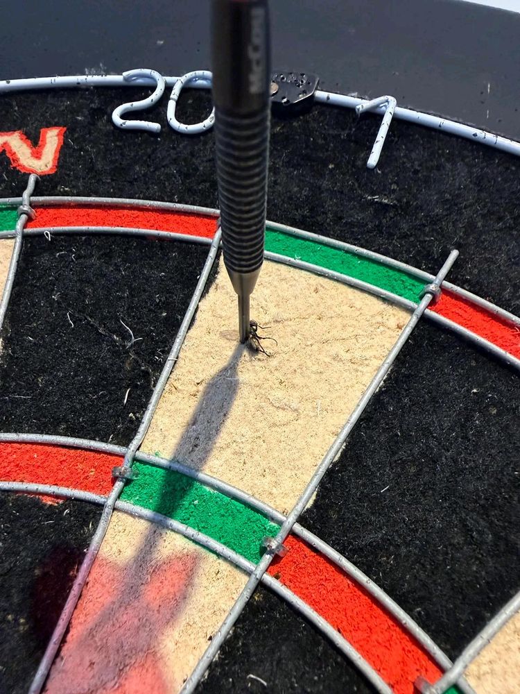 image-20260120205614-2