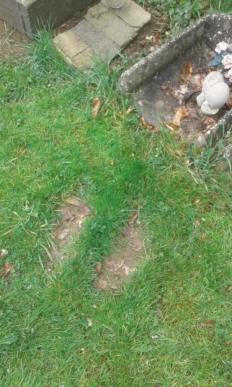 image-20260120205618-3