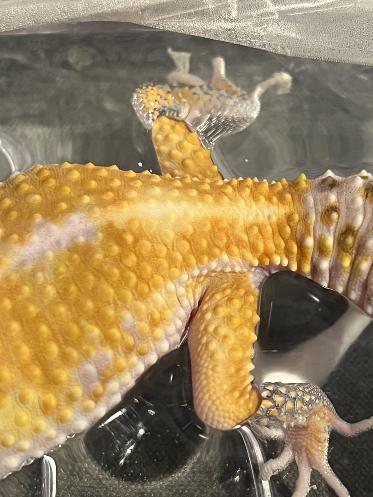 image-20260120205640-5