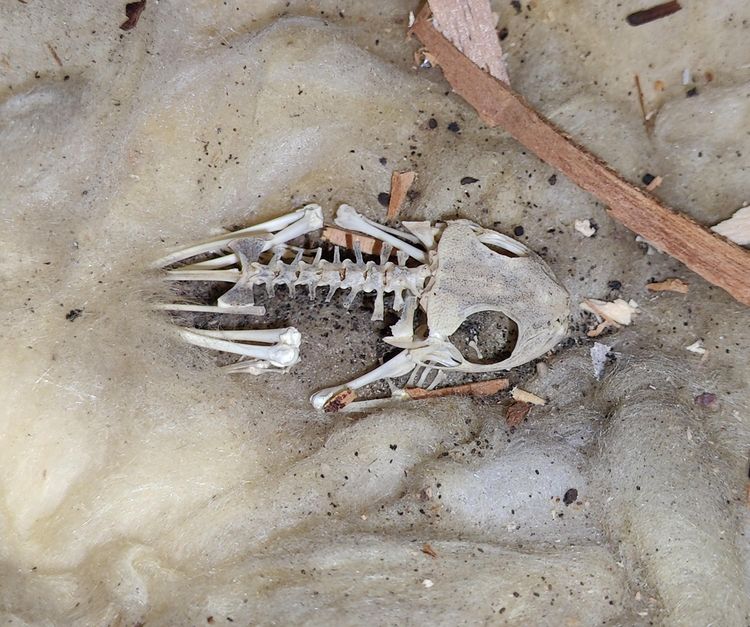 image-20260120205643-6