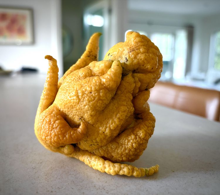 image-20260120205649-8