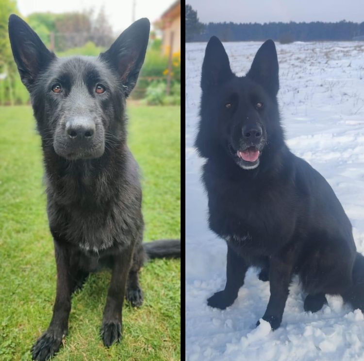 image-20260120205711-15