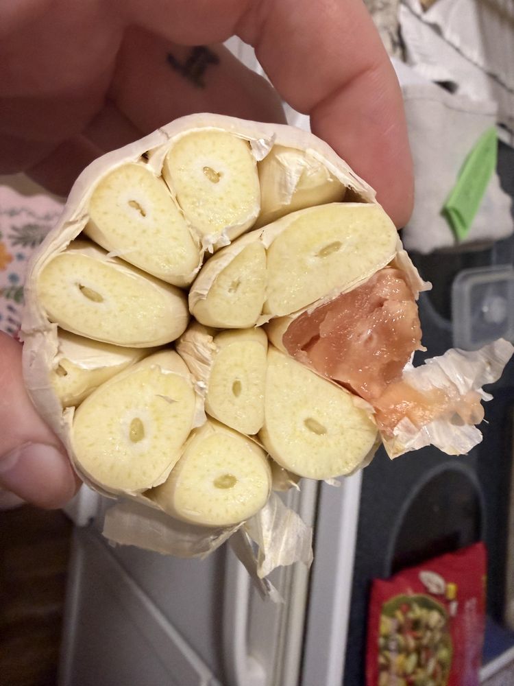 image-20260120205714-16