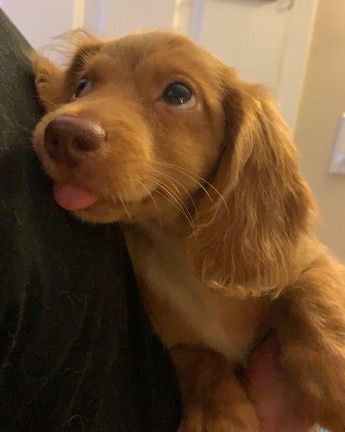 image-20260120212516-2