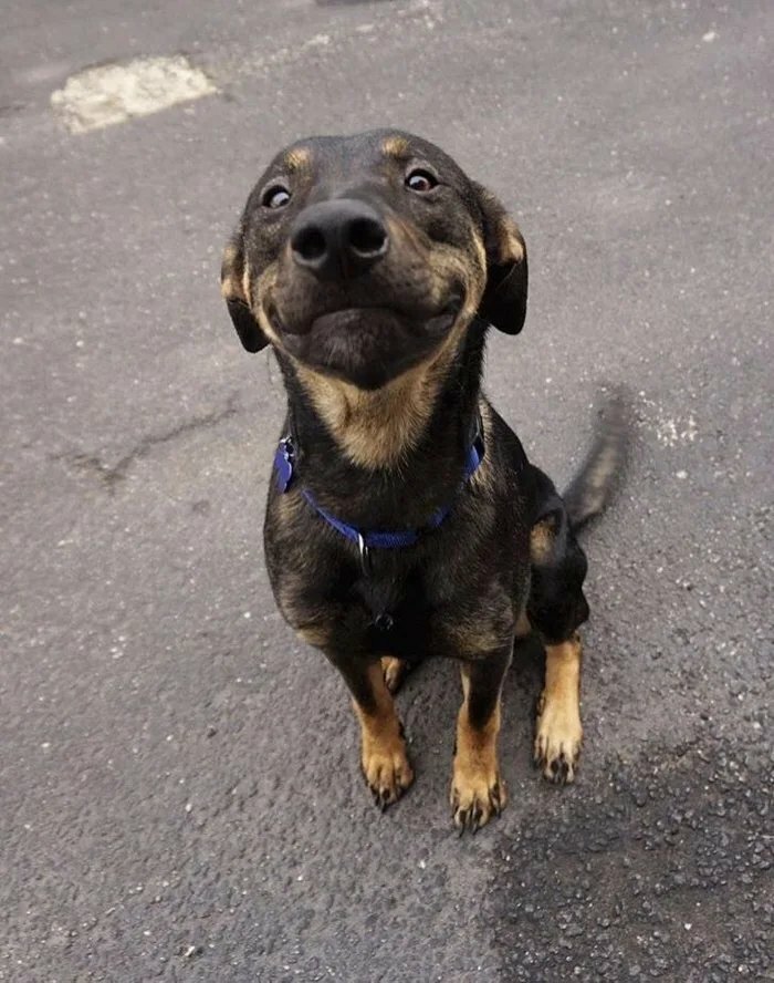 image-20260120212518-3