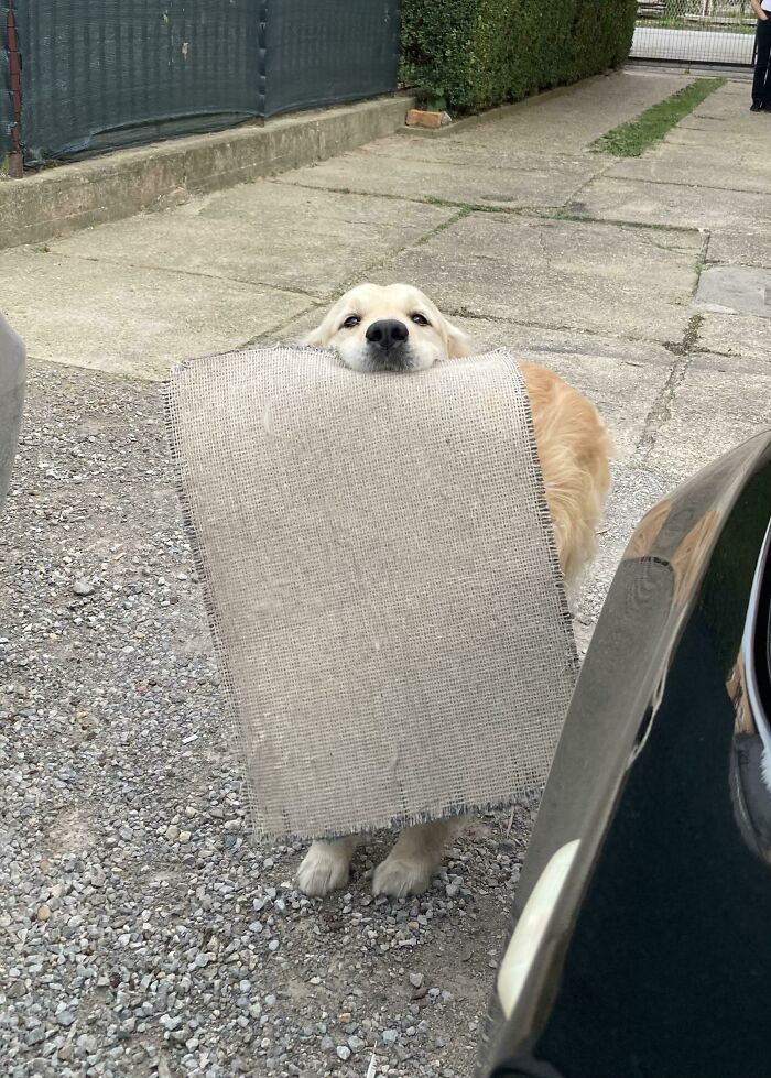 image-20260120212532-8