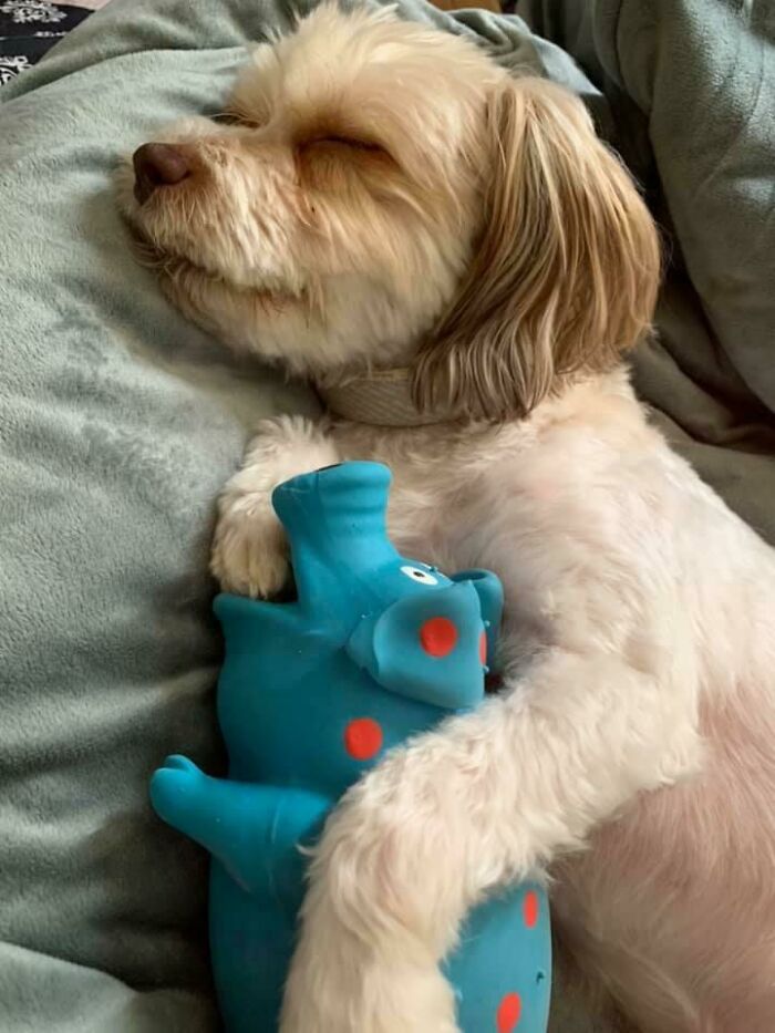 image-20260120212539-10