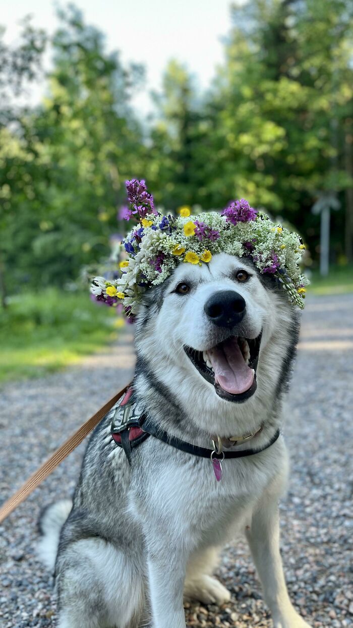 image-20260120212548-13