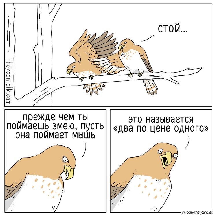 image-20260121095031-1