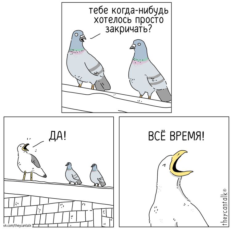 image-20260121095034-2